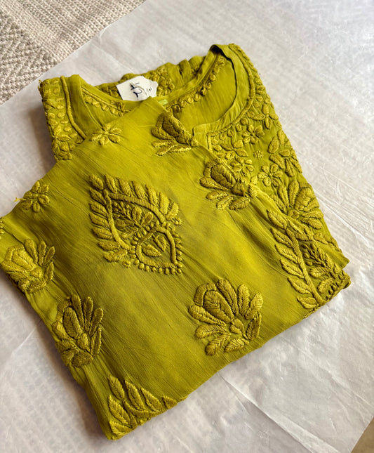 Ranjha 6D work Chikankari kurta